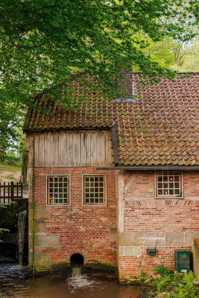91518 The Spirit of the Devil's Beech: A Spooky Legend from Ootmarsum
