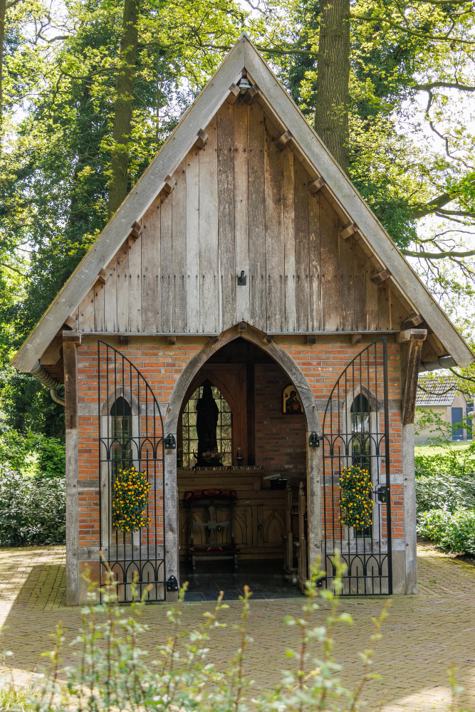 92216 The Spirit of the Devil's Beech: A Spooky Legend from Ootmarsum