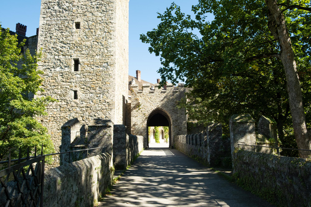 11990 A castle with a dark past – The myth surrounding Baron Rothschild and the dungeon of Waidhofen