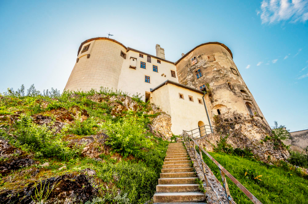1562 The Mysterious History of the Korvinus Linden Tree: A Living Testament to Ľupča Castle