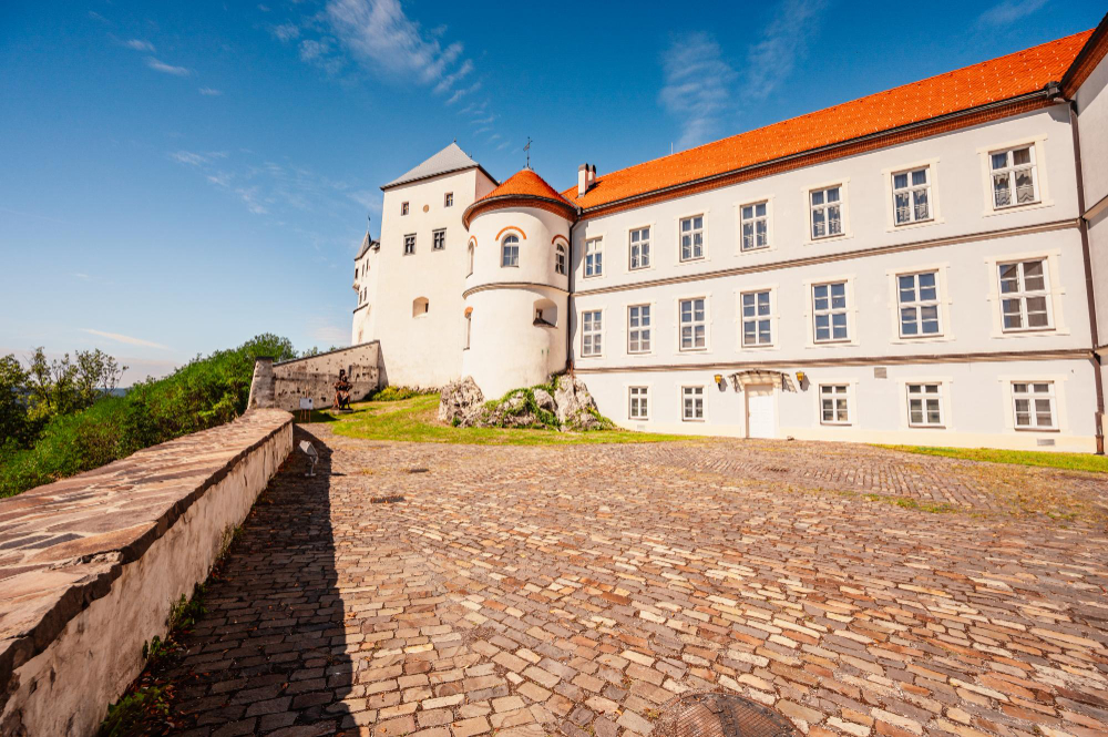 1563 The Mysterious History of the Korvinus Linden Tree: A Living Testament to Ľupča Castle
