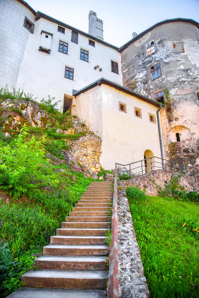 2124 The Mysterious History of the Korvinus Linden Tree: A Living Testament to Ľupča Castle