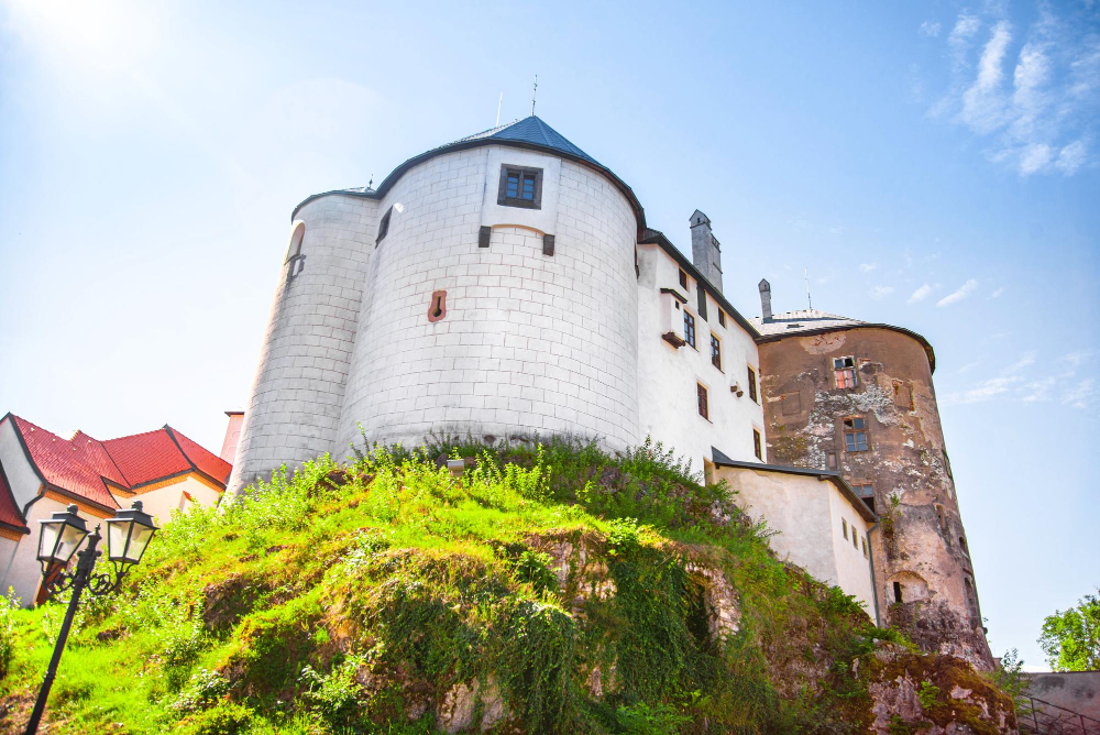 2125 The Mysterious History of the Korvinus Linden Tree: A Living Testament to Ľupča Castle