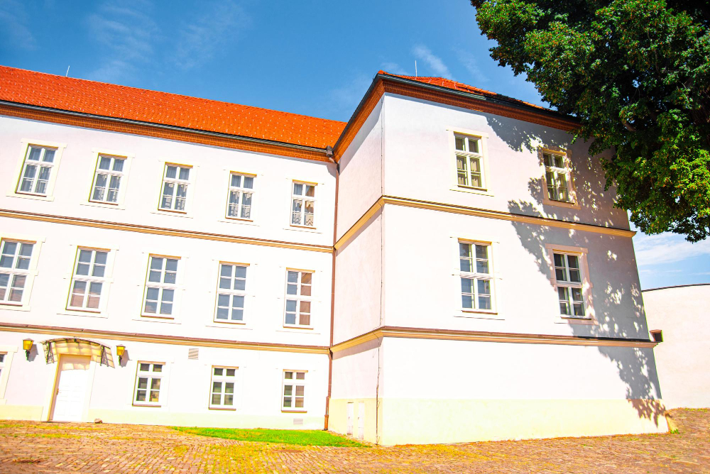 2126 The Mysterious History of the Korvinus Linden Tree: A Living Testament to Ľupča Castle