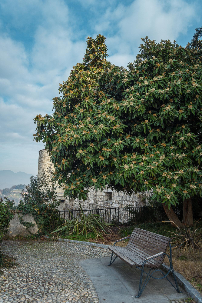 2387 The “Falcone d’Italia”: The Turbulent History of the Castello di Brescia and Its Role in the Struggle for Freedom