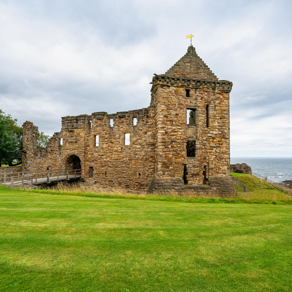5043 The Mysterious Healing Powers of the Middle Ages: St Andrews Castle and the Magic of Sage