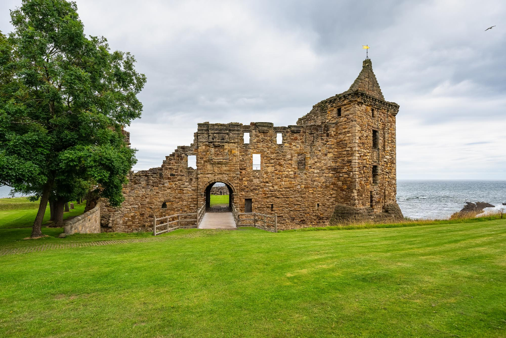 5047 The Mysterious Healing Powers of the Middle Ages: St Andrews Castle and the Magic of Sage