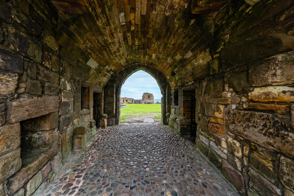 5051 The Mysterious Healing Powers of the Middle Ages: St Andrews Castle and the Magic of Sage