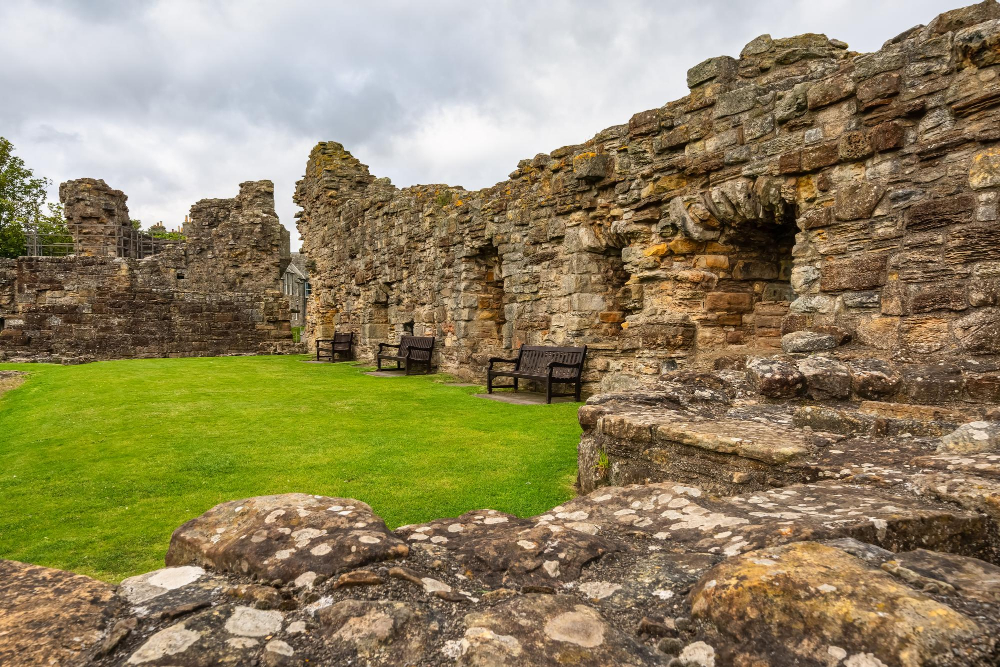 5058 The Mysterious Healing Powers of the Middle Ages: St Andrews Castle and the Magic of Sage