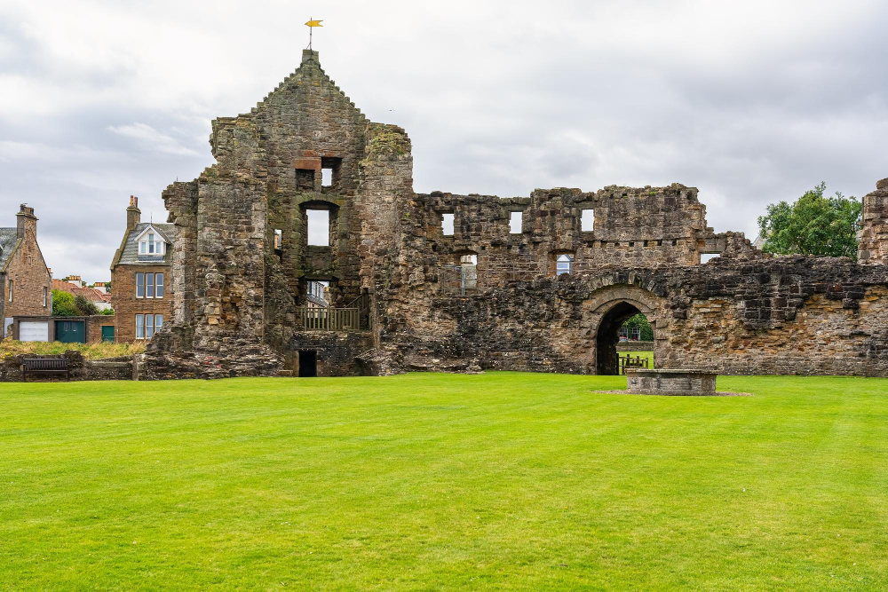 5062-1 The Mysterious Healing Powers of the Middle Ages: St Andrews Castle and the Magic of Sage