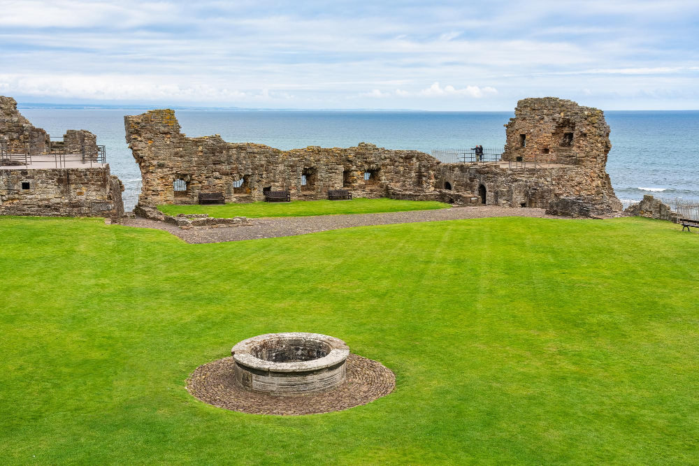 5066 The Mysterious Healing Powers of the Middle Ages: St Andrews Castle and the Magic of Sage