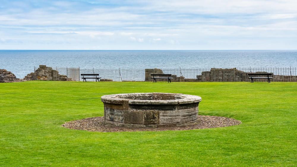 5070 The Mysterious Healing Powers of the Middle Ages: St Andrews Castle and the Magic of Sage