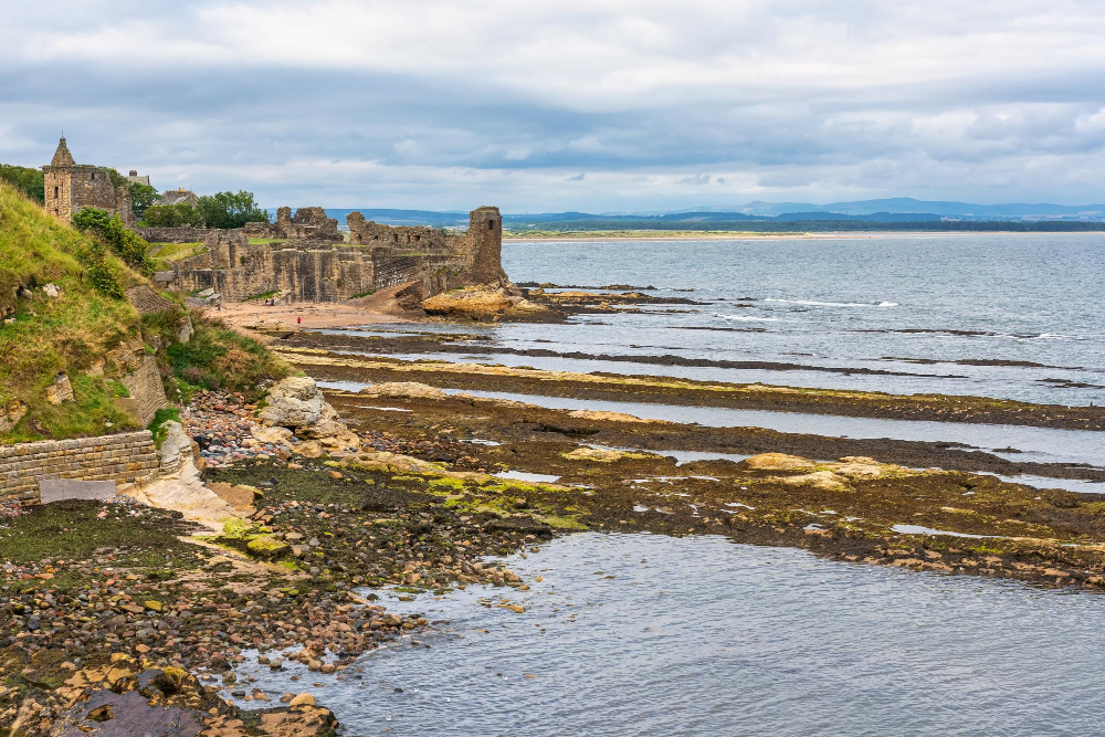 5078 The Mysterious Healing Powers of the Middle Ages: St Andrews Castle and the Magic of Sage