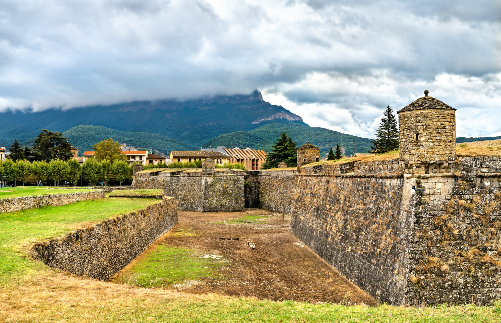 5494-1 The mystical guardians of the Ciudadela de Jaca: the deer in the moat
