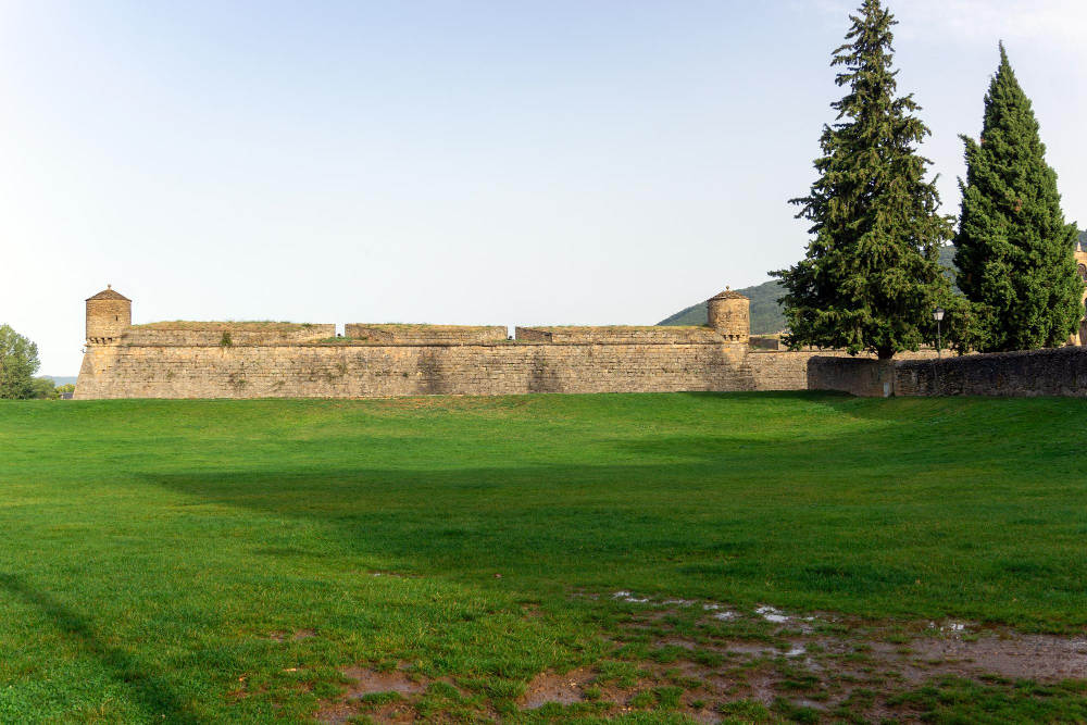 574-1 The mystical guardians of the Ciudadela de Jaca: the deer in the moat