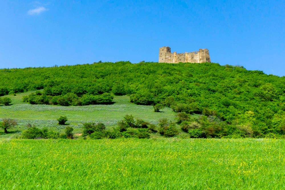 774 The Mysterious Skhvilo Fortress: A Journey Through History, Legends and Myths