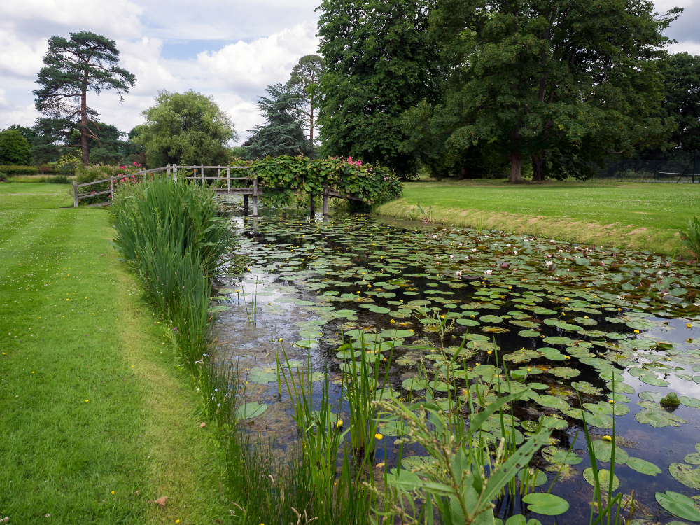 1316 The Love Oak at Hever Castle – A royal secret amidst ancient branches