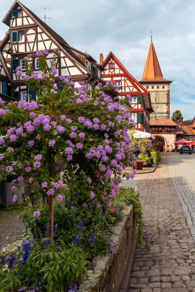 42988 The Moospfaff – A dark legend from the Black Forest