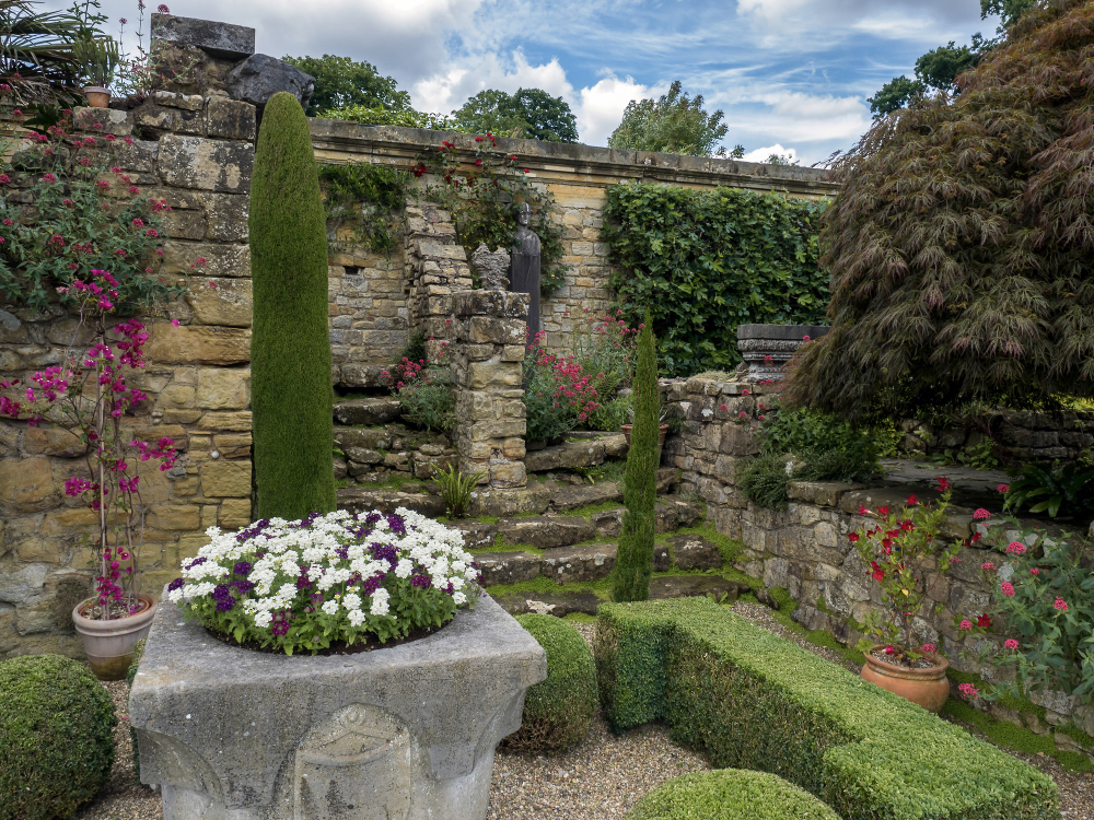 4490 The Love Oak at Hever Castle – A royal secret amidst ancient branches