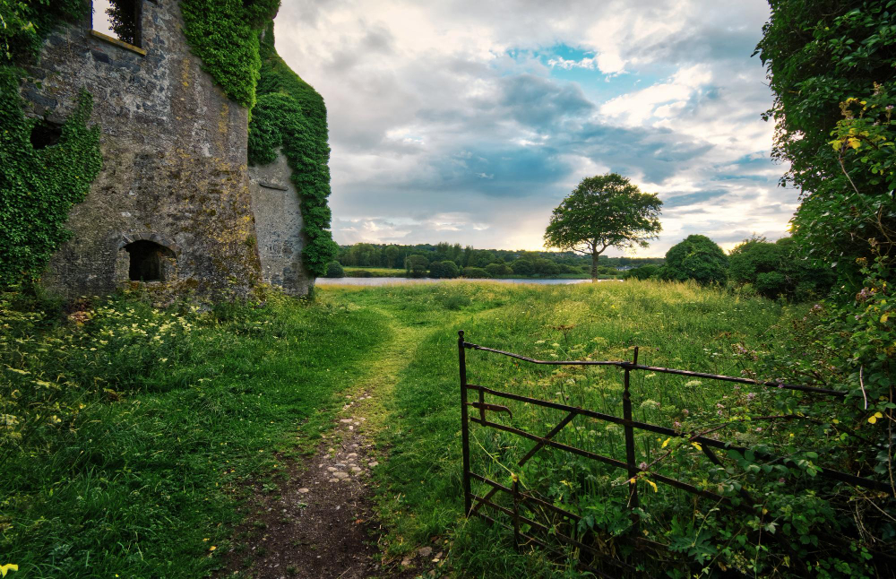 6892 Whispers of Gold: The Hidden Treasure of Menlo Castle