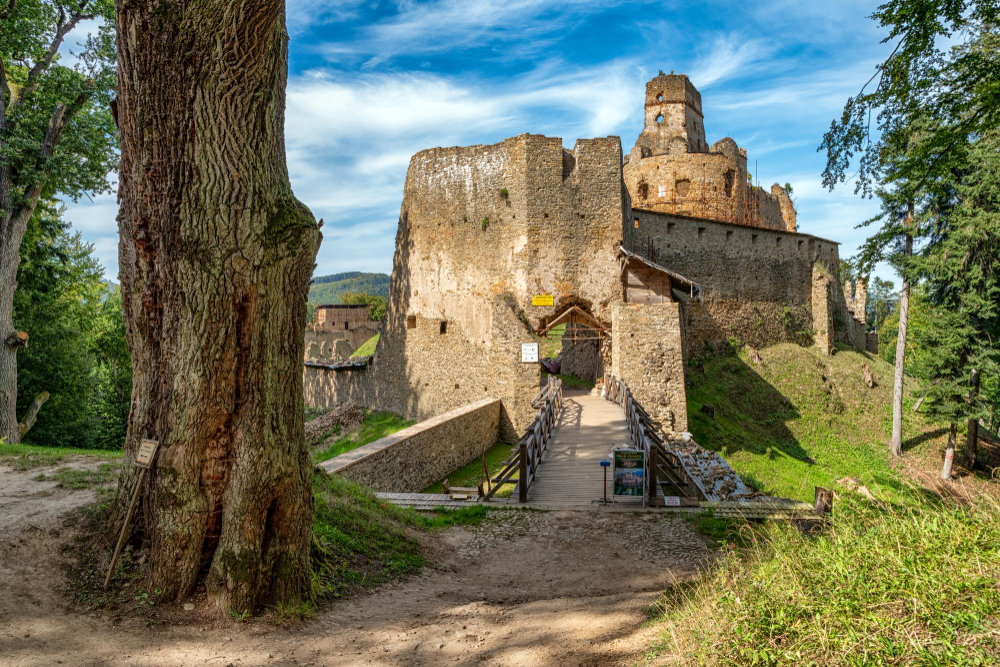 1079-2 The Broken Heart and the Counterfeit Ducats: The Legend of the Sale of Zborov Castle