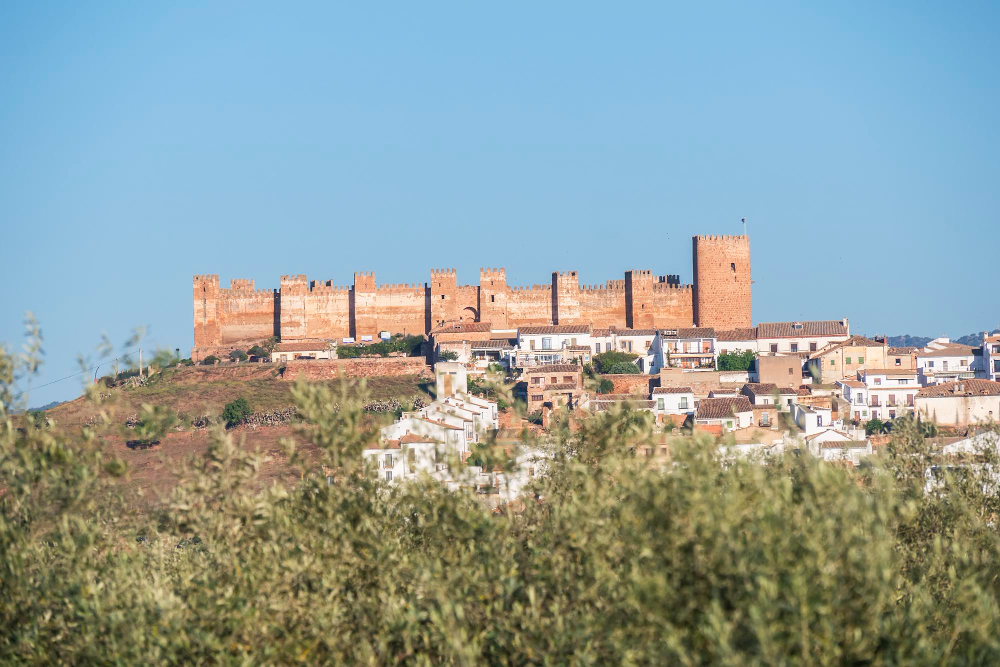 1252-2 The Mystery of the Burgalimar Cemetery: How Death and Life Preserved the Centuries-Old Castillo