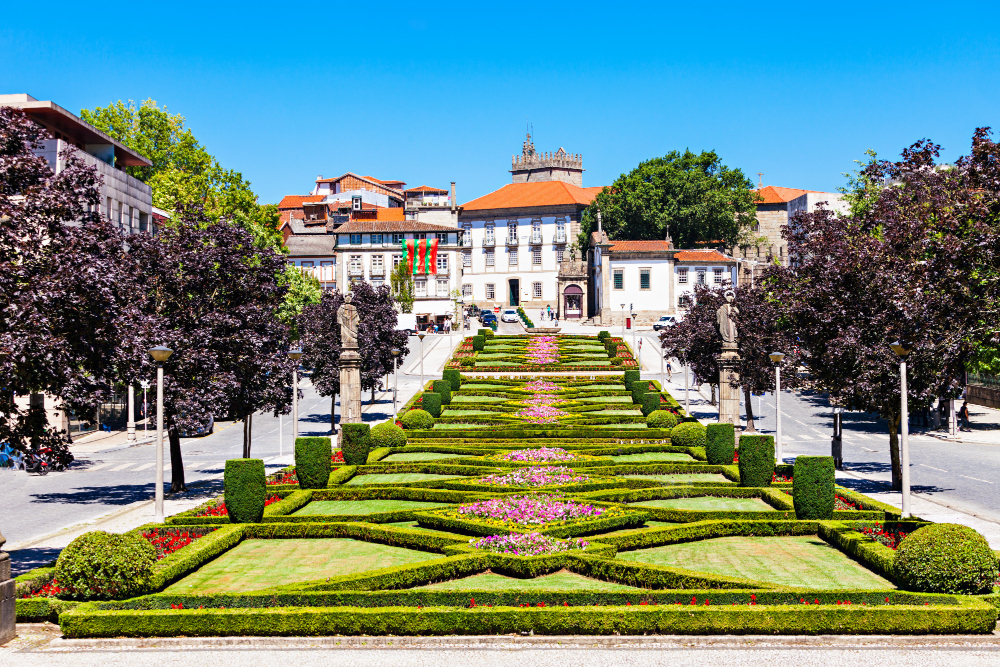 1472 The Legend of the Olive Tree of Guimarães: A Living Symbol of Portugal’s Birthplace