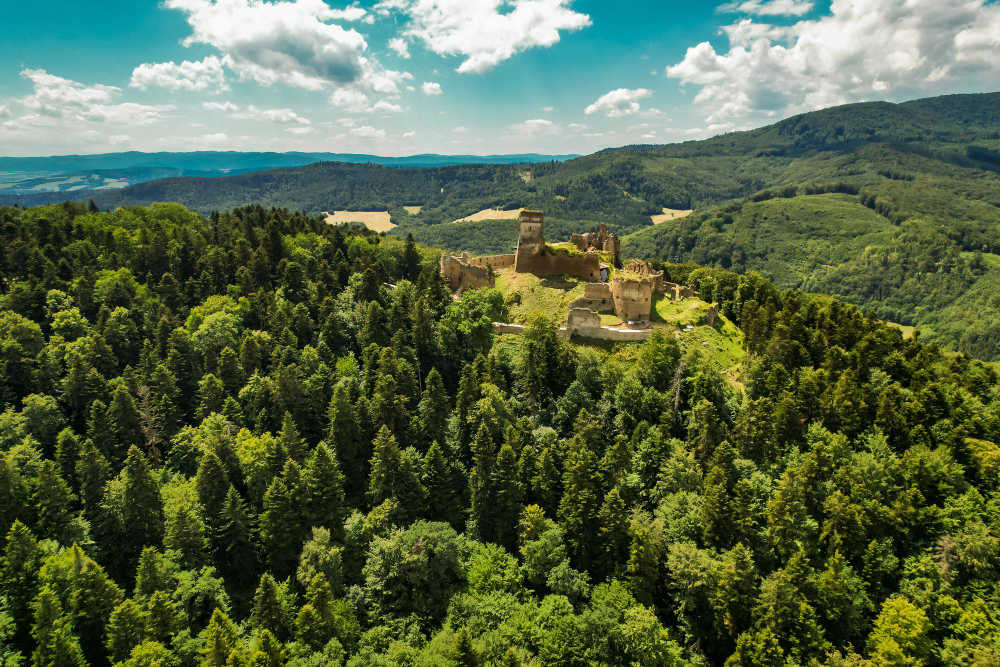 17181 The Broken Heart and the Counterfeit Ducats: The Legend of the Sale of Zborov Castle