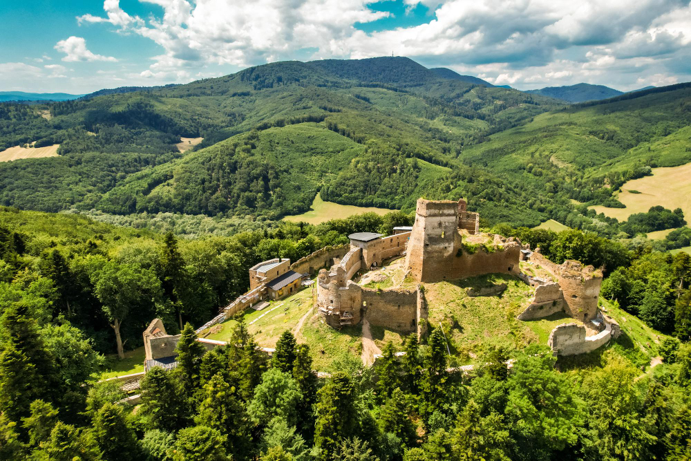 17194 The Broken Heart and the Counterfeit Ducats: The Legend of the Sale of Zborov Castle