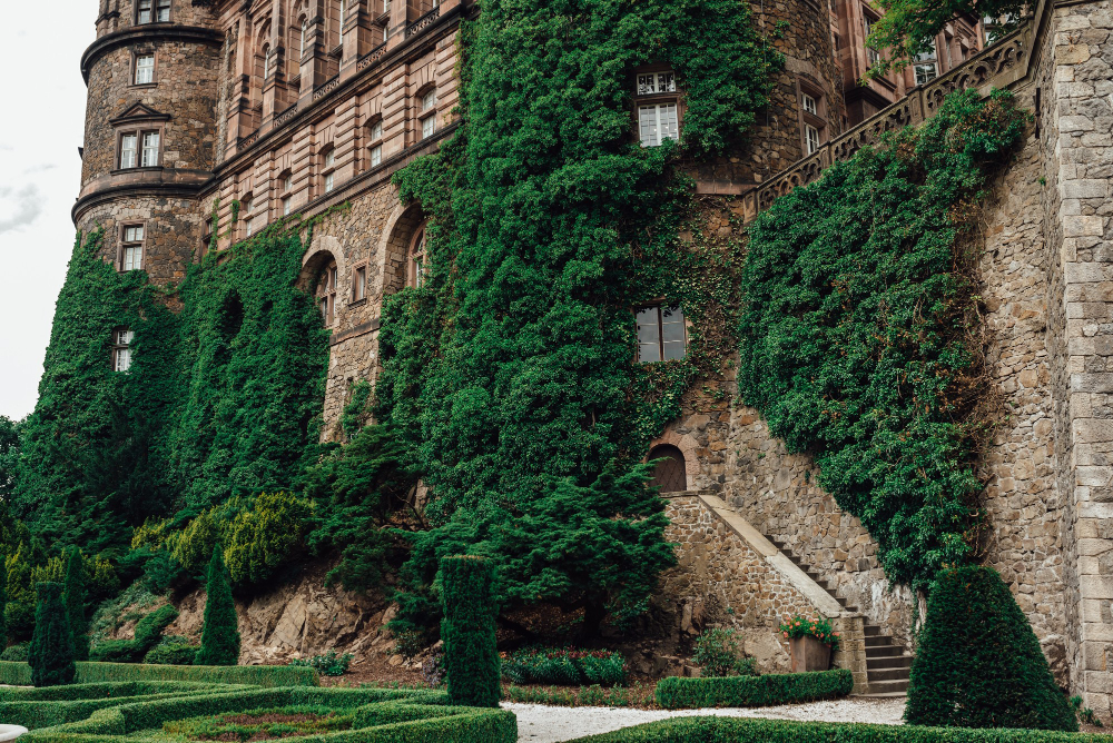231 The Hidden Secret of Książ Castle (Fürstenstein): Myths, Legends and the Amber Room