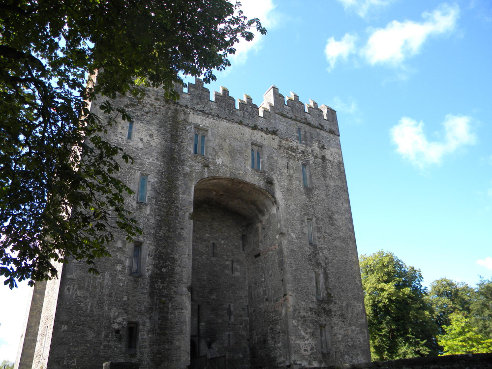 3473 The Enchanted Field of Bunratty: The Legend of the Norman Knight and His Hidden Gold