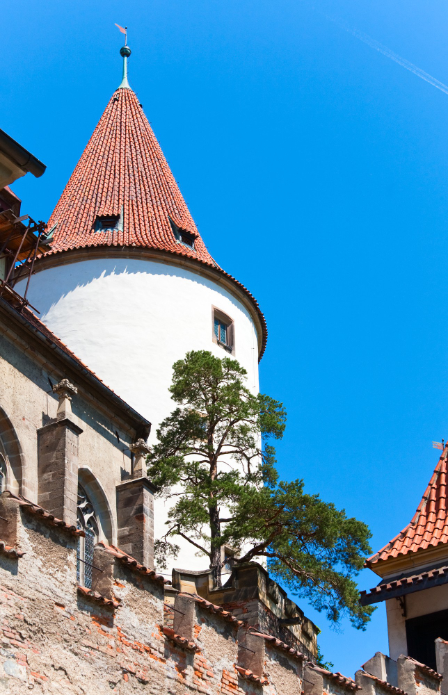 8237-1 The Hidden Treasure of Křivoklát: Legend and History of a Mystical Castle