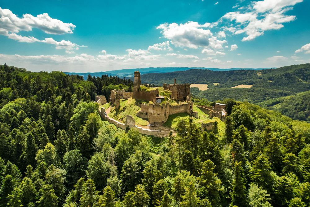 8616 The Broken Heart and the Counterfeit Ducats: The Legend of the Sale of Zborov Castle