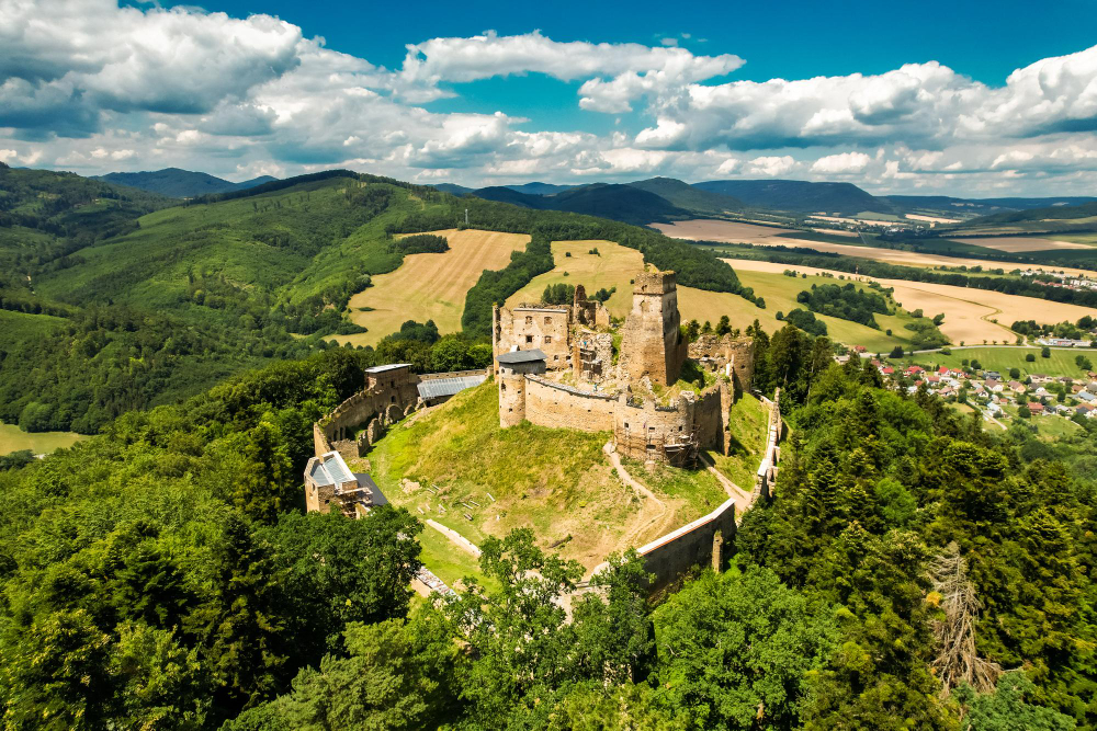 8617 The Broken Heart and the Counterfeit Ducats: The Legend of the Sale of Zborov Castle