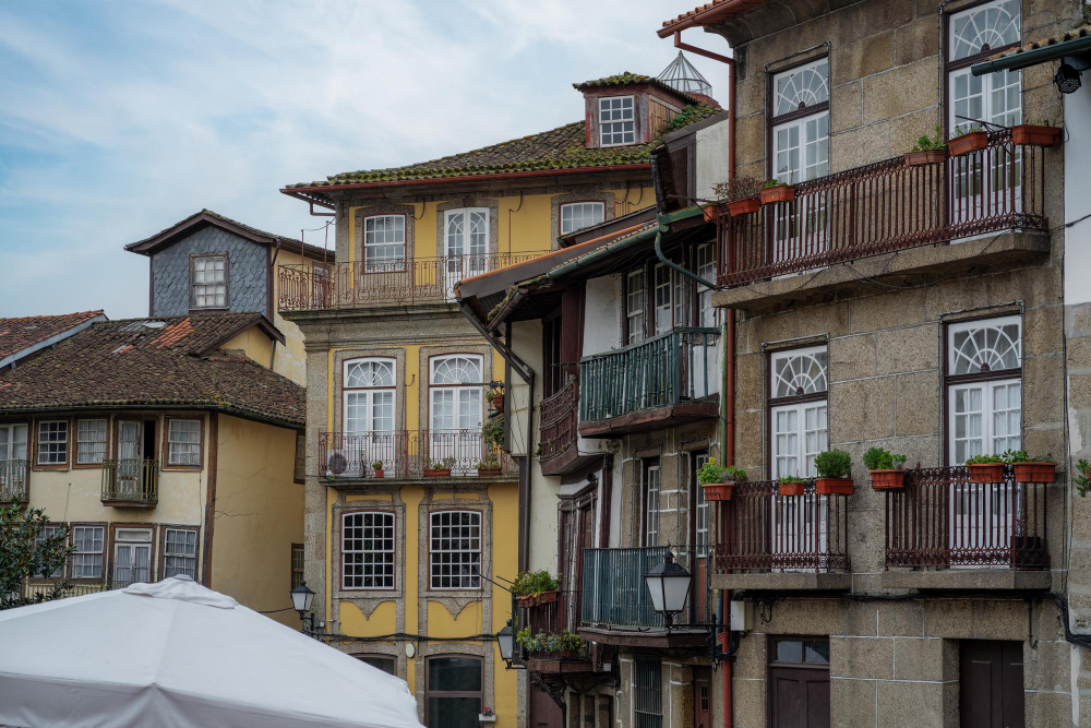 946 The Legend of the Olive Tree of Guimarães: A Living Symbol of Portugal’s Birthplace
