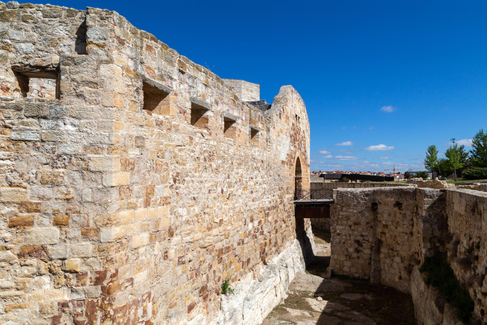 1170-1 Campo de la Verdad: How Zamora Became a Symbol of Resistance Amid History, Legend, and Divine Judgment