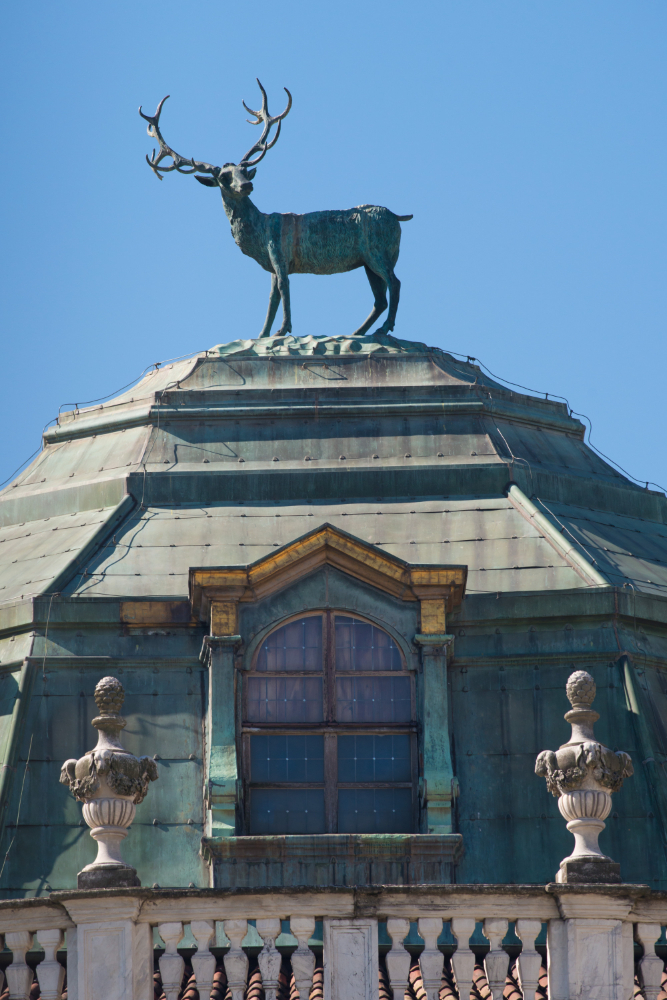 1453 Fritz the Elephant – Myth and Reality of a Legendary Pachyderm in Stupinigi