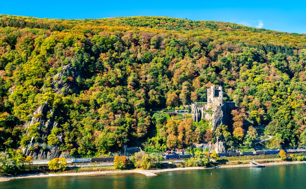 16094 The real ‘legend’: The Prince’s Sleeping Beauty – The Rebirth of Rheinstein Castle