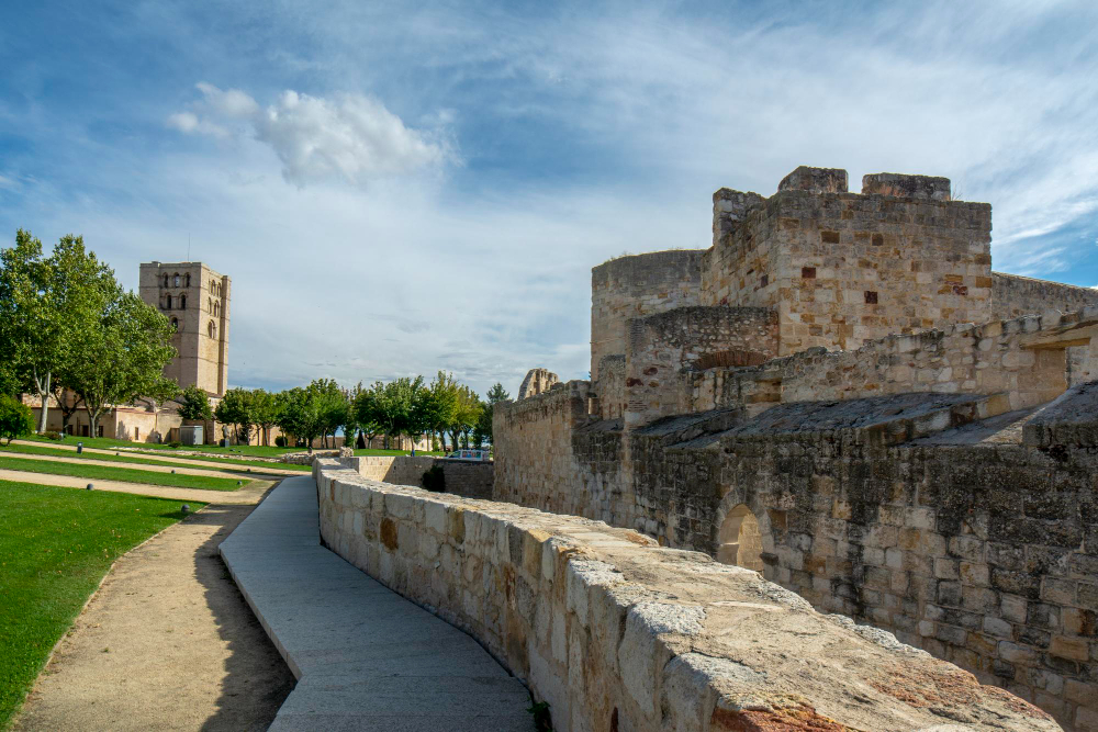 1769 Campo de la Verdad: How Zamora Became a Symbol of Resistance Amid History, Legend, and Divine Judgment