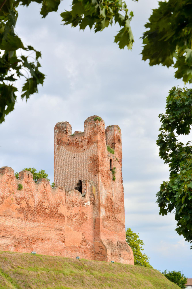 18284 In the Shadow of the Madonna: Giorgione’s enigmatic altarpiece in Castelfranco