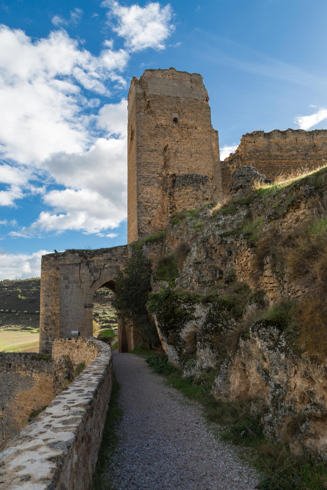 2021 The Dogs of Zorita: How a medieval legend gave a Spanish castle its name