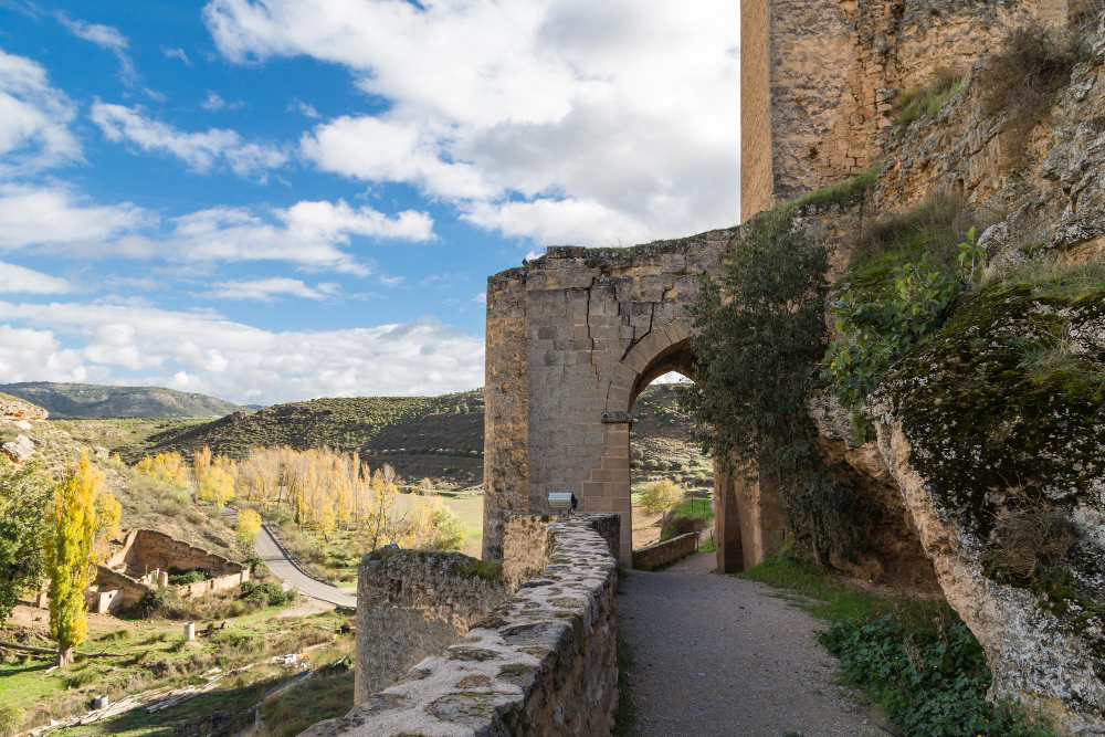 2022 The Dogs of Zorita: How a medieval legend gave a Spanish castle its name