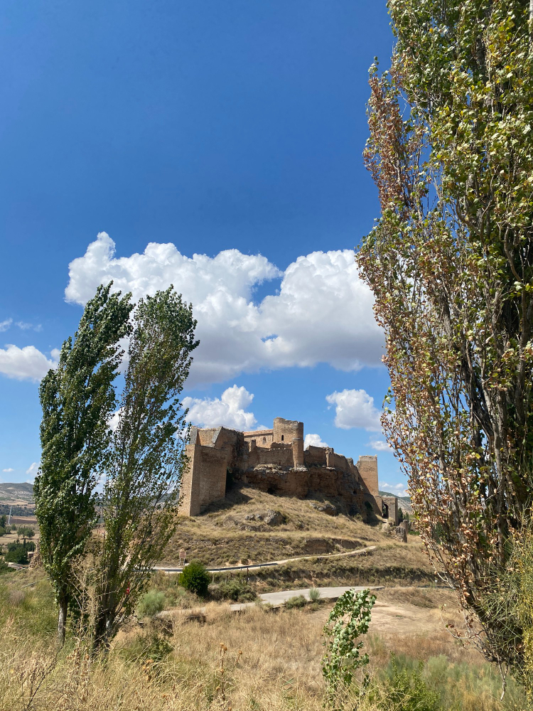 242-1 The Dogs of Zorita: How a medieval legend gave a Spanish castle its name