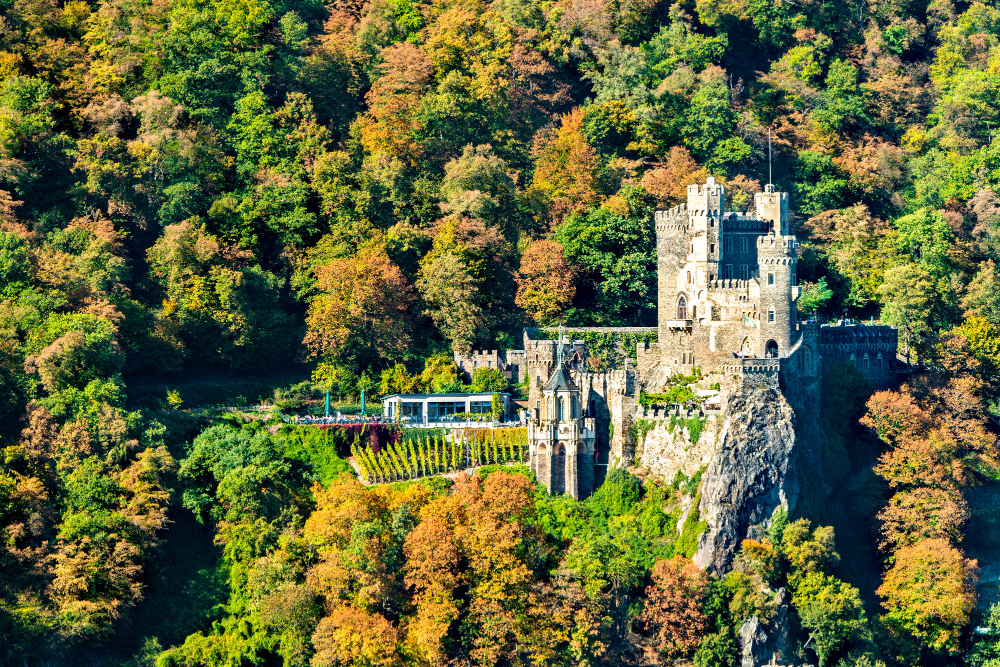 3170 The real ‘legend’: The Prince’s Sleeping Beauty – The Rebirth of Rheinstein Castle