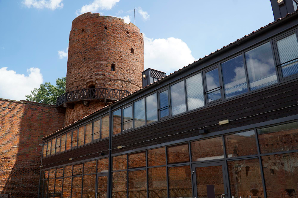 42976-1 The Legend of Żabusia – The Frog Maiden of Ciechanów Castle