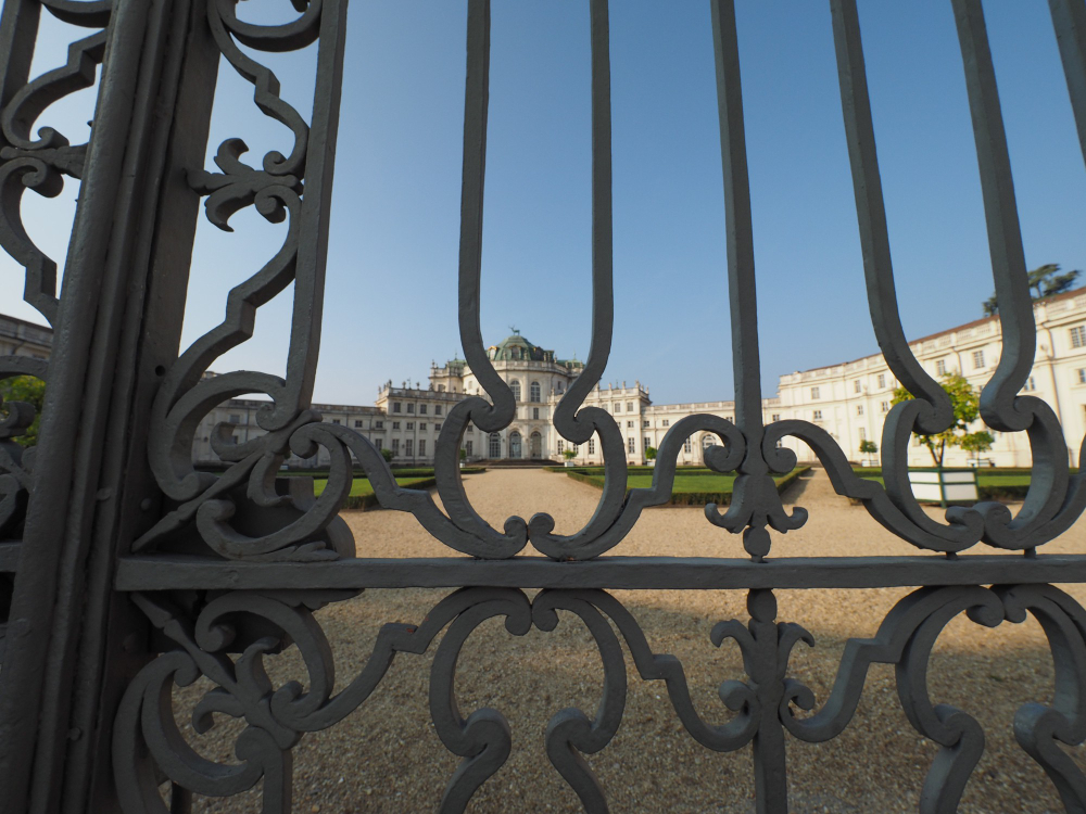 6564 Fritz the Elephant – Myth and Reality of a Legendary Pachyderm in Stupinigi